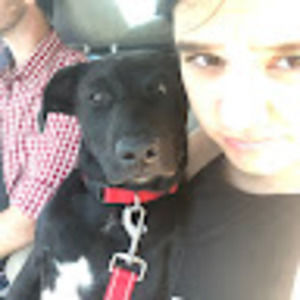 Meet your Posher, Grace